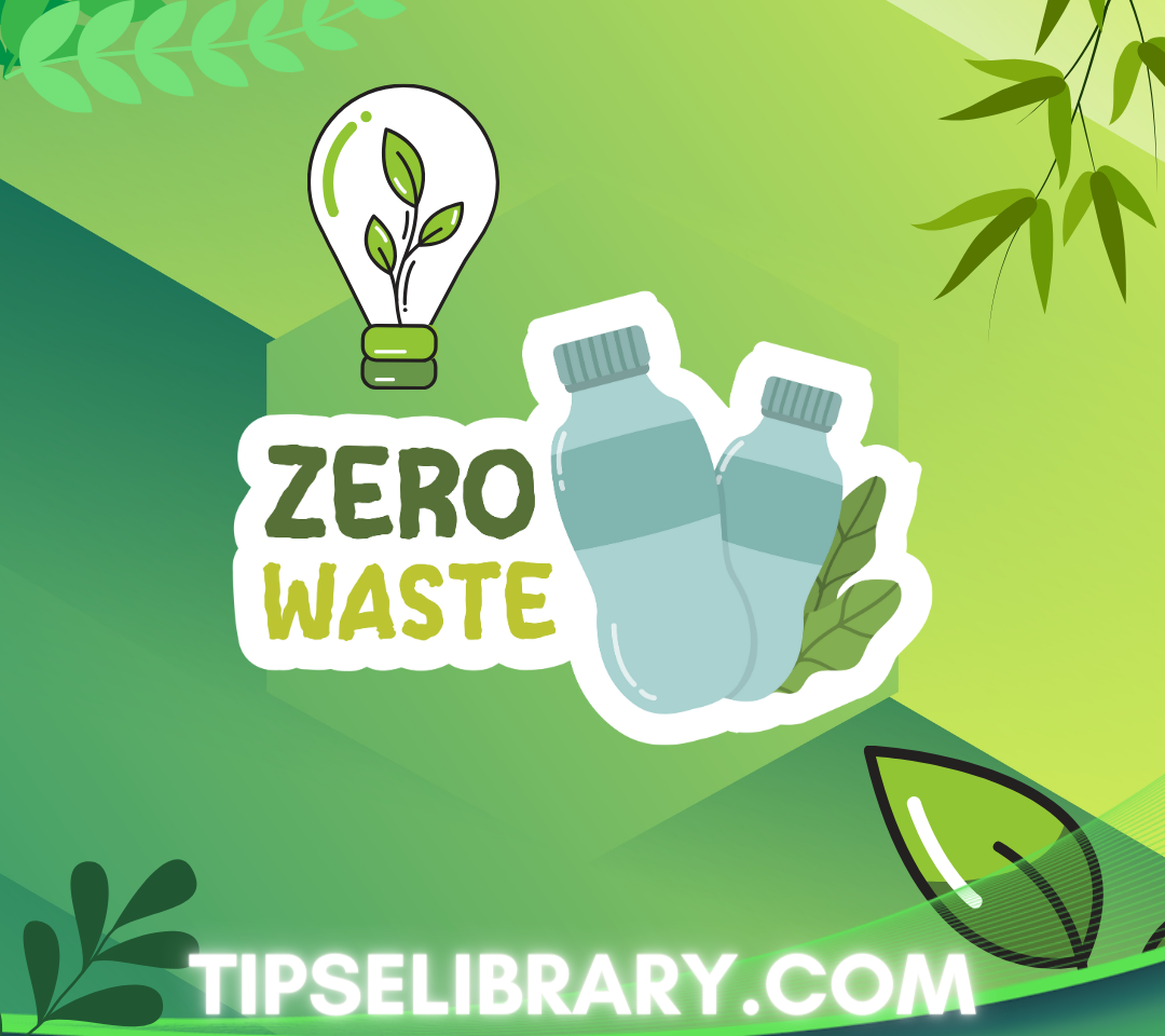 zero waste home eco
