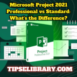 Microsoft Project 2021 Professional vs Standard