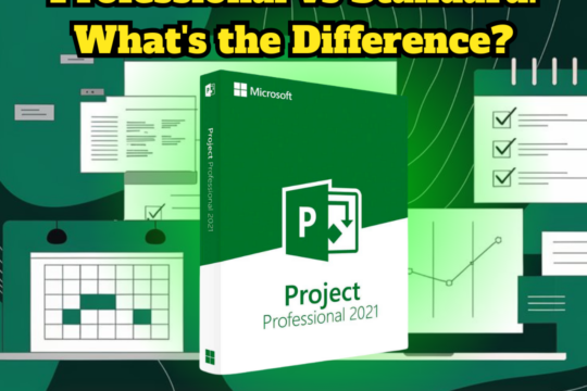 Microsoft Project 2021 Professional vs Standard